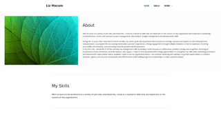 Thumbnail of macammedia.com