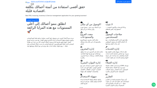 Thumbnail of yemenerp.net