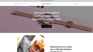 Thumbnail of paganellistore.com