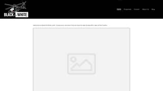 Thumbnail of blackandwhiteland.com