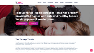 Thumbnail of teacupyorkiepuppiesbreederhome.com