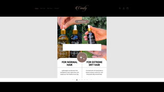 Thumbnail of vanityretail.com