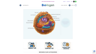 Thumbnail of biovogen.com