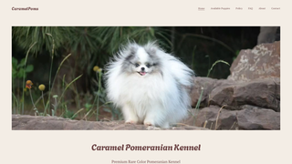 Thumbnail of caramelpoms.com