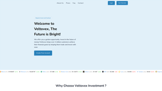 Thumbnail of veltovex.com