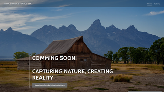 Thumbnail of tripleridgestudios.com