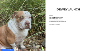 Thumbnail of deweylaunch.com