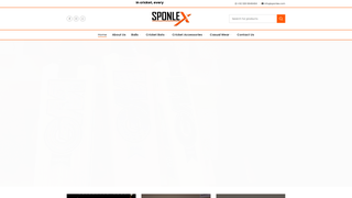 Thumbnail of sponlex.com