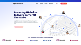 Thumbnail of scintillawpthemes.com