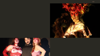 Thumbnail of tracereidmedia.com