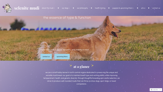 Screenshot of selenitemudi.com