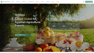 Thumbnail of emdad-global.com
