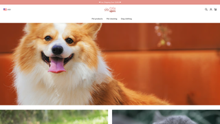 Thumbnail of cylangoro.com