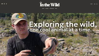 Thumbnail of inthe-wild.com