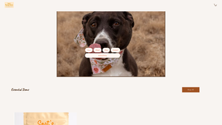 Thumbnail of spotsrocks.com