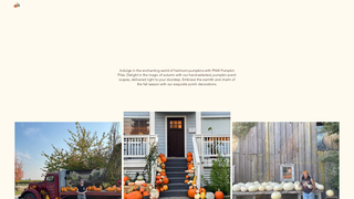 Thumbnail of pnwpumpkinpiles.com