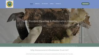 Thumbnail of cleanwithbernhardt.com