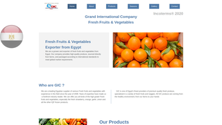 Thumbnail of gicexport.com