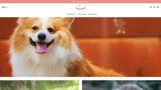 Thumbnail of temptthing.com