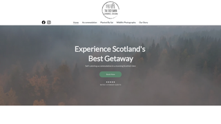 website thumbnail