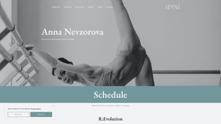 Thumbnail of annanevzorova.com