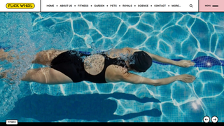 Thumbnail of flickwhirl.com
