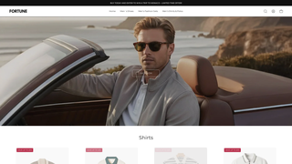 Thumbnail of thefortunebrand.com