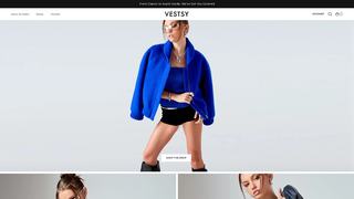 Thumbnail of vestsy.com
