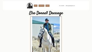 Thumbnail of elsedonnelldressage.com
