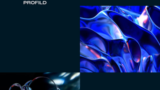 Thumbnail of profild.com