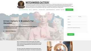 Thumbnail of witchwoodcattery.com