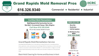 Thumbnail of grandrapidsmoldremediationpros.com
