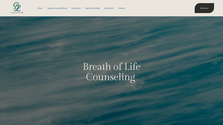 Thumbnail of bol-counseling.com