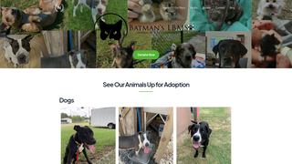 Thumbnail of batmananimalrescue.org