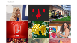 Thumbnail of viniciusvaleiro.com