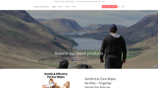 Thumbnail of pethealthify.com