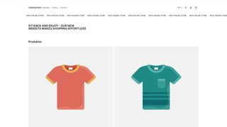 Thumbnail of collectclaim.com