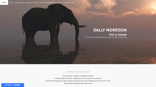 Thumbnail of dallymorrison.com