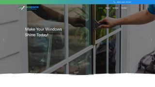 Thumbnail of ecopanecleaning.com