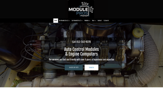 Thumbnail of module-pros.com