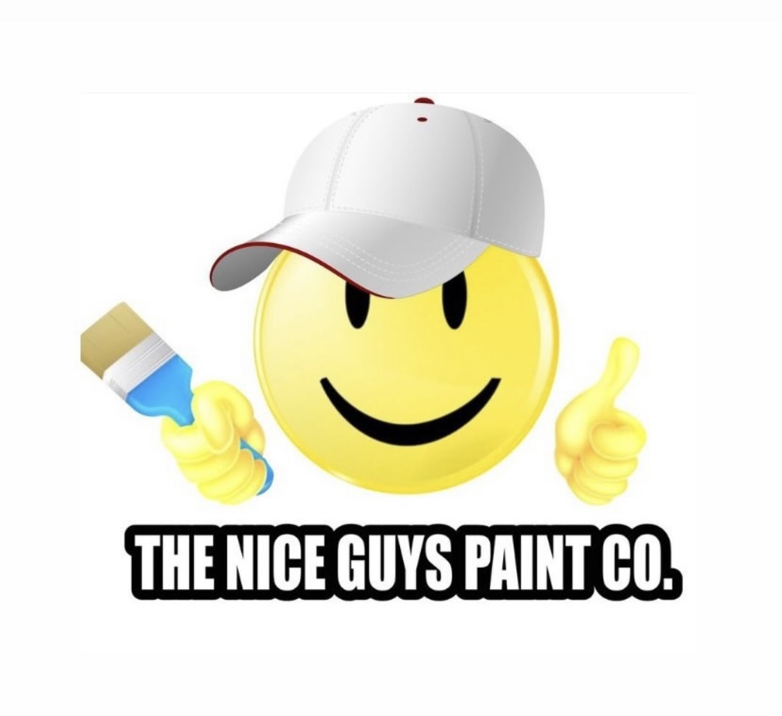 theniceguyspaintco.com screenshot 1