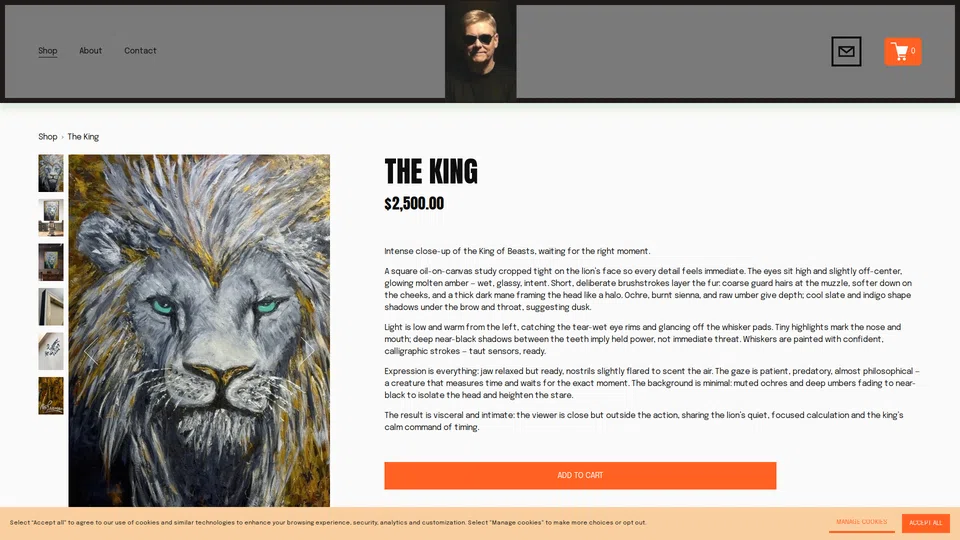 ronfreeman.net screenshot 3